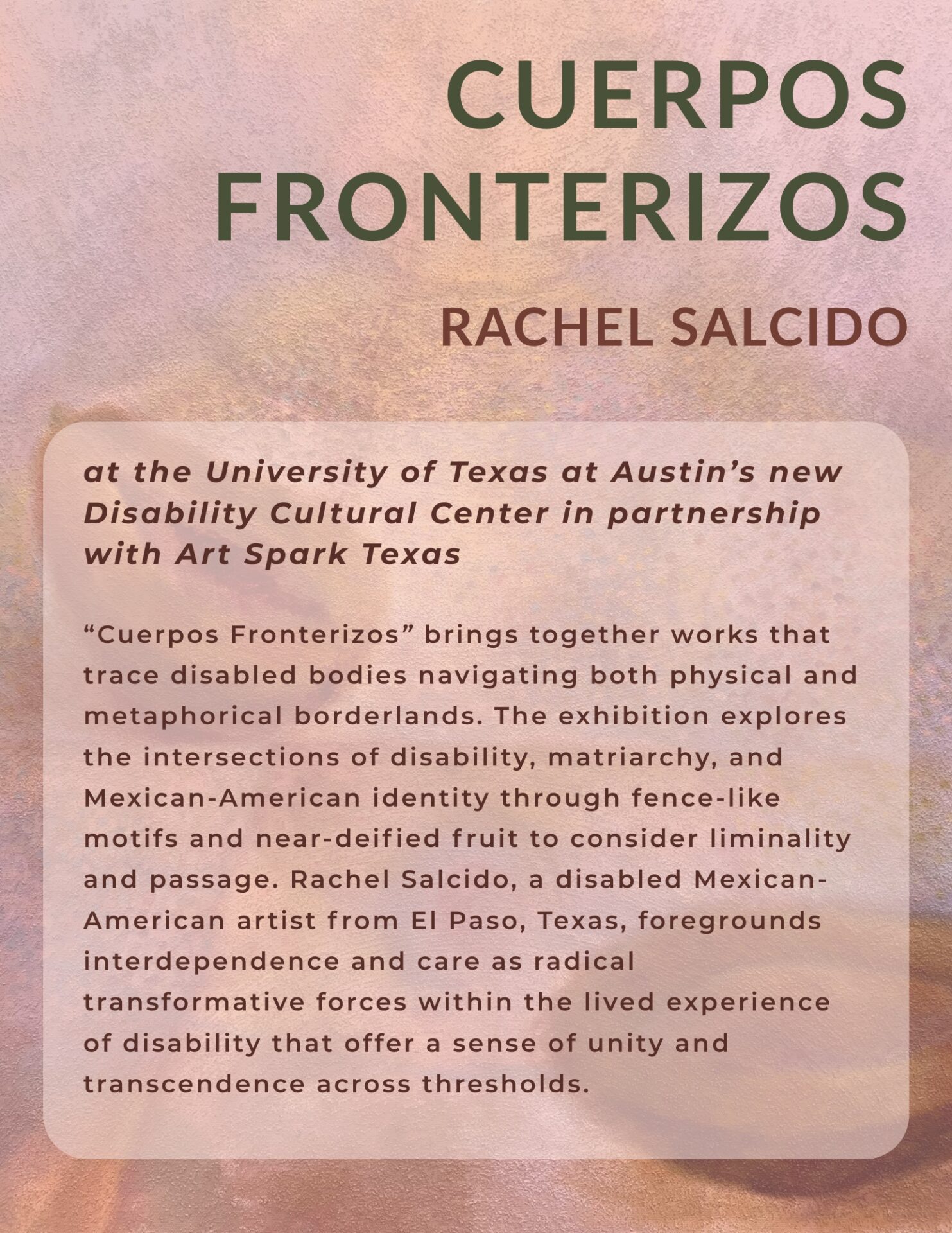 Cuerpos Fronterizos by Rachel Salcido - a pink backdrop with a description about the artist's work and identity.