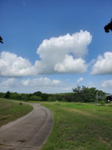 Three photos in a row reveal a scenic park. From left to right: an empty bench beneath a large oak tree with grassy field behind; a wide, paved trail with muddy tire tracks forks with bright blue sky and puffy white clouds above; a leafless tree with a pond in the background.