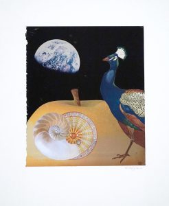 a peacock , a shell, and the earth.