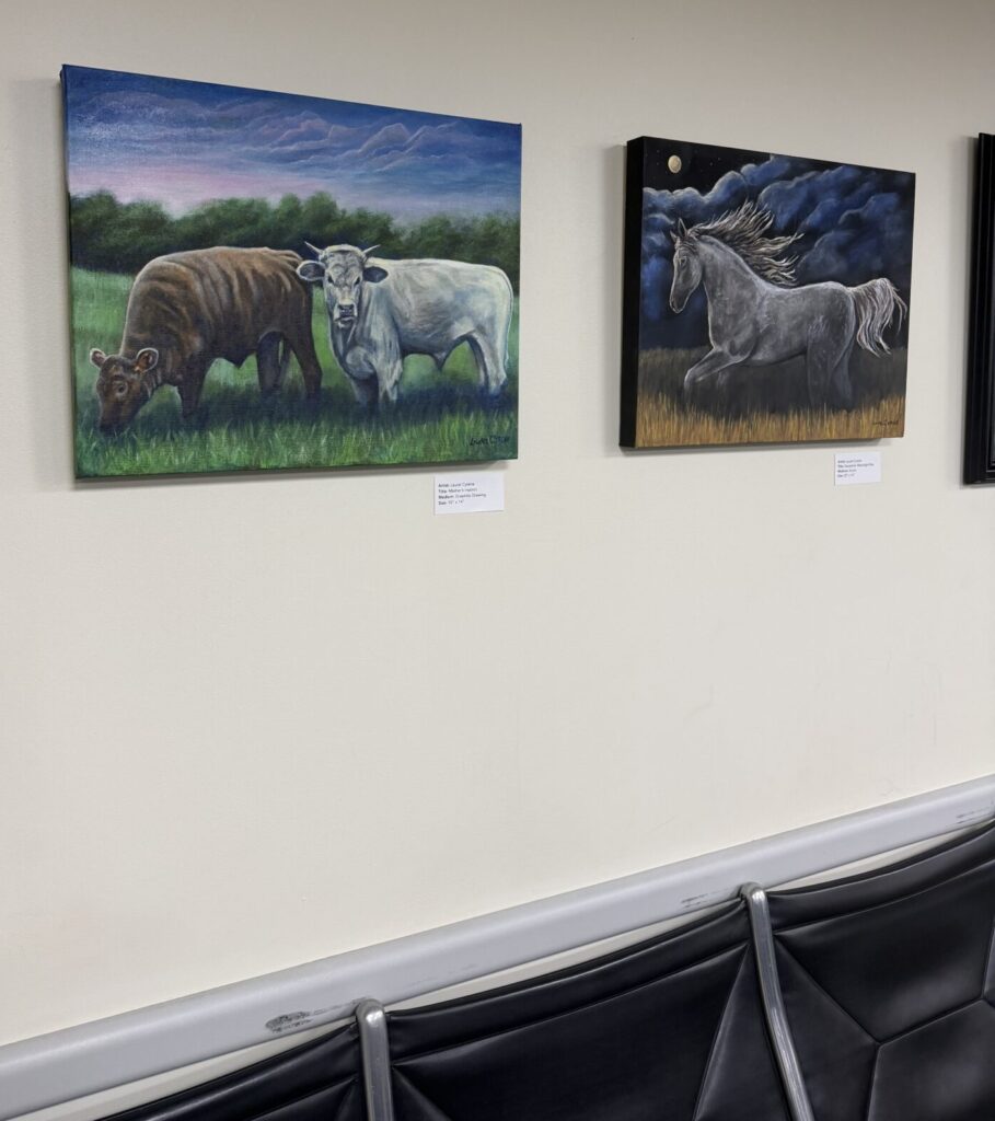 Vision and Valor, a Texas Veteran Women's Art Exhibit at the Austin-Bergstrom International Airport for Veterans Month 2025