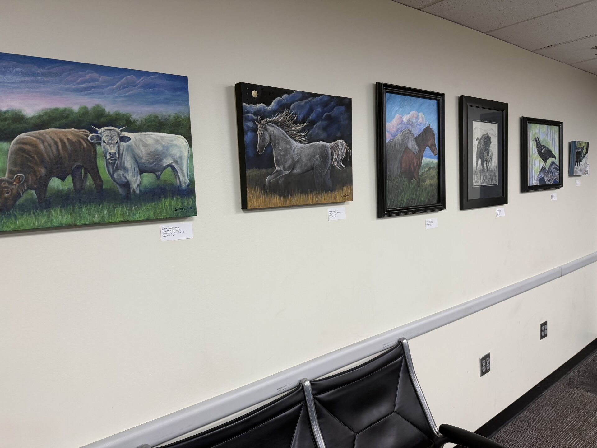 Vision and Valor, a Texas women's veteran art exhibit at the Austin-Bergstrom International Airport's Mobility Lounge. Pictured: Paintings on the north wall from Laurel Cyrene and Nerissa Holland of Texas landscapes and animals. 2025.