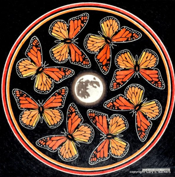 Gary’s wax pencil drawing of Monarch butterflies