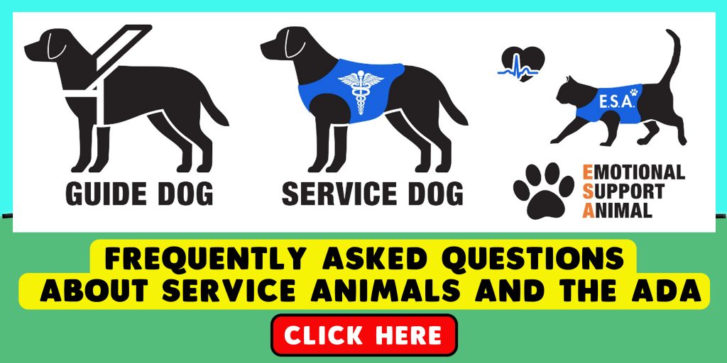 Infographic about service animals