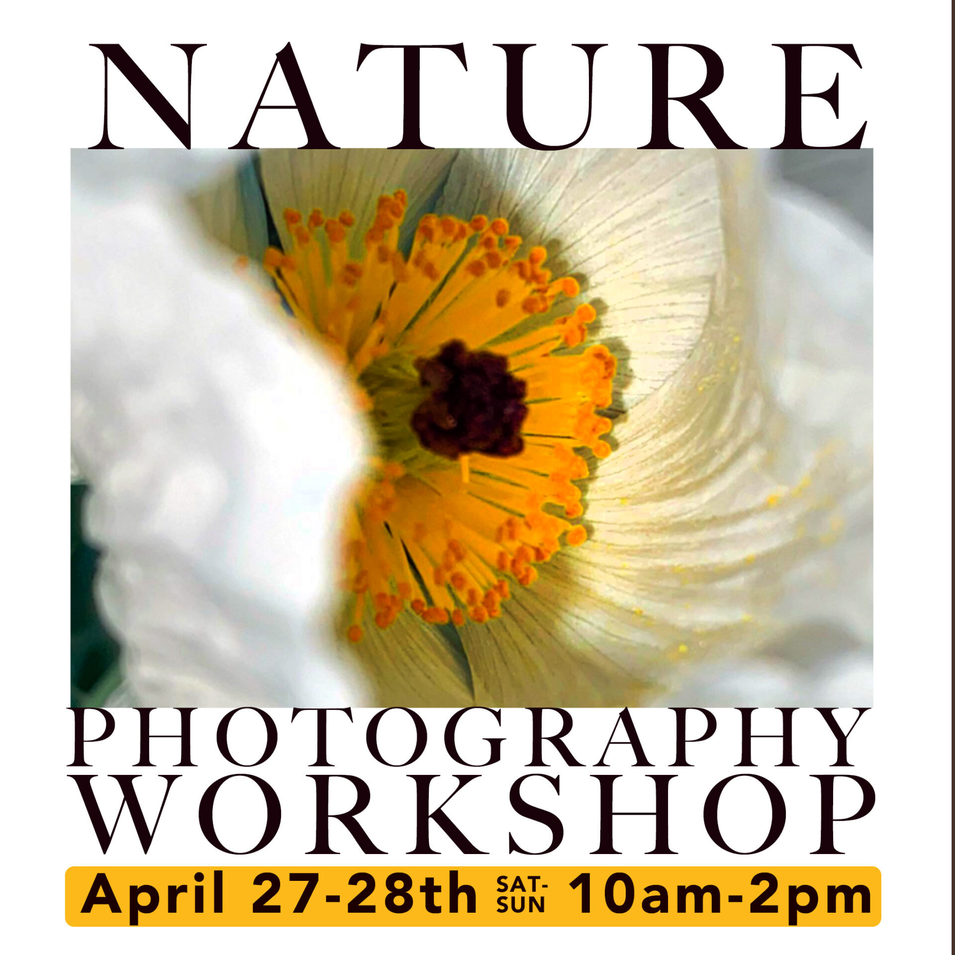 Nature Photography Workshop register here