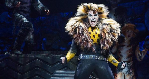 actor in extravagant cat costume