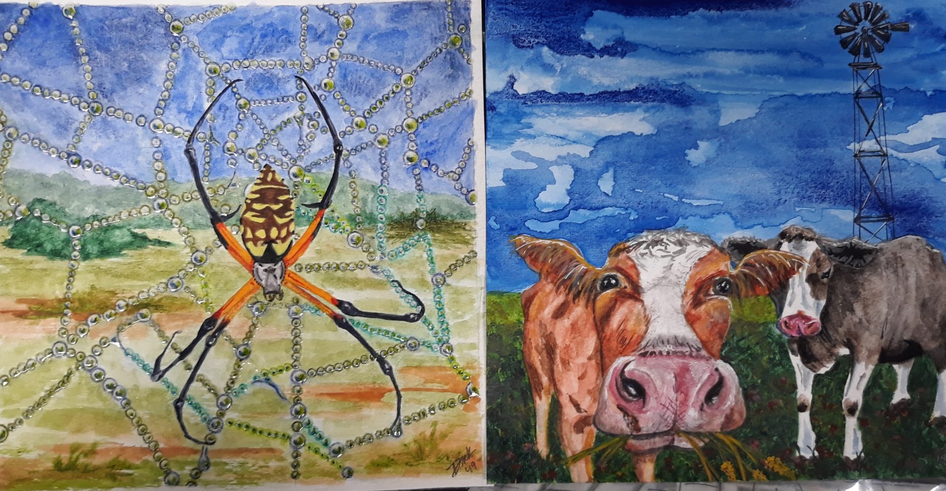 Watercolors, Golden Orb Weaver and Cow by Denise Knebel