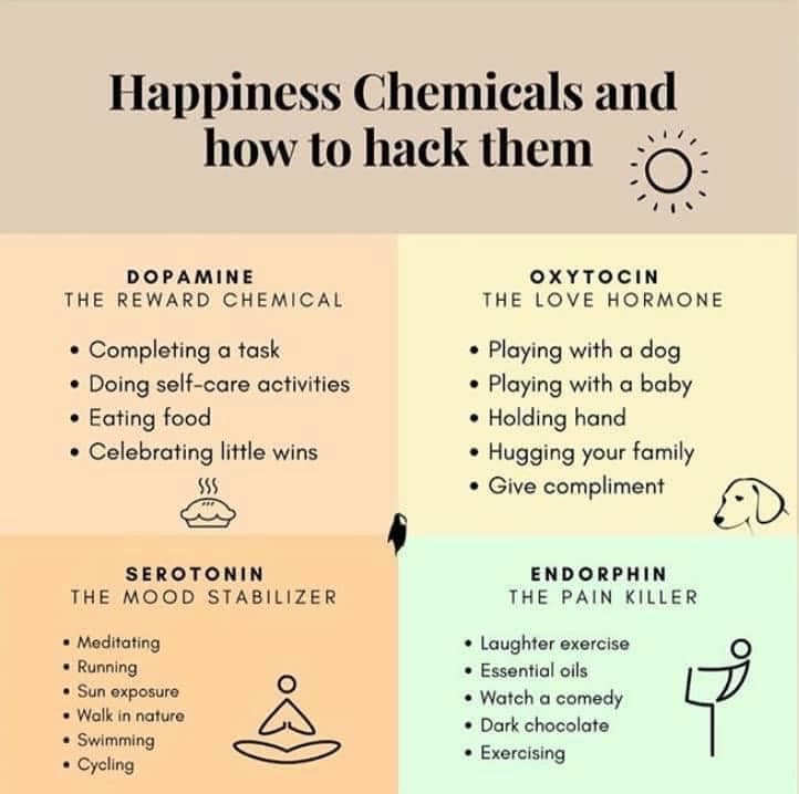 Happiness Chemical checklist