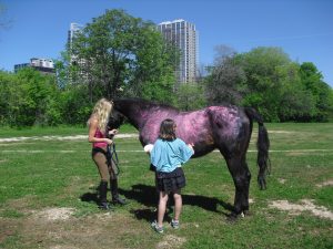 A child and horse wrangler stand together as the child paints the horse's coat with glitter.