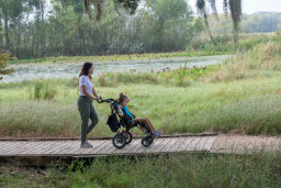 woman pushing a child in a wheelchair on a park trail