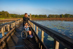 And adult and a child in a wheelchair bird watching from a bridge
