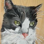 cat pet portrait