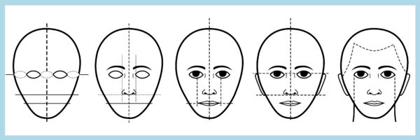 Detailed illustration of the 5 stages in drawing the human face.