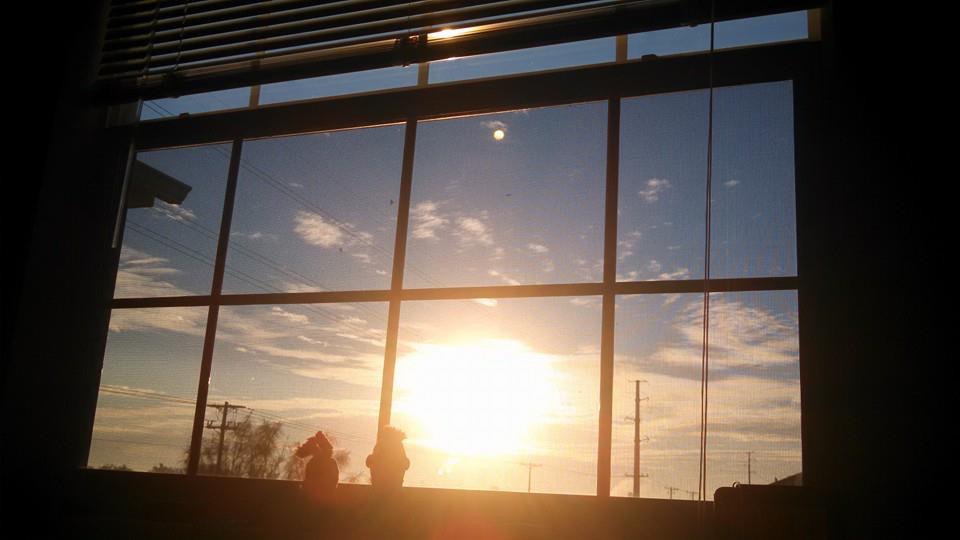 photo of the sun shining through a window