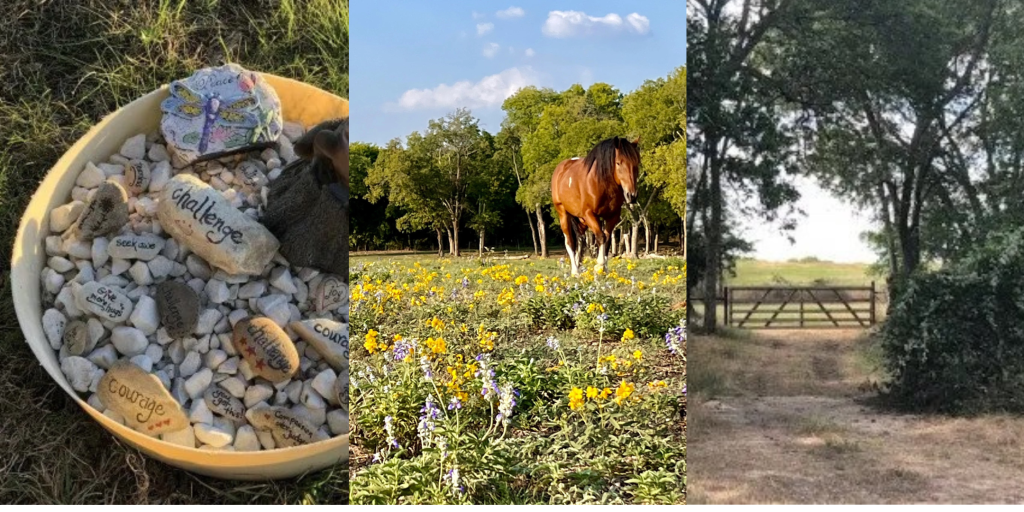 Painted rocks, a horse in a field, a farm gate
